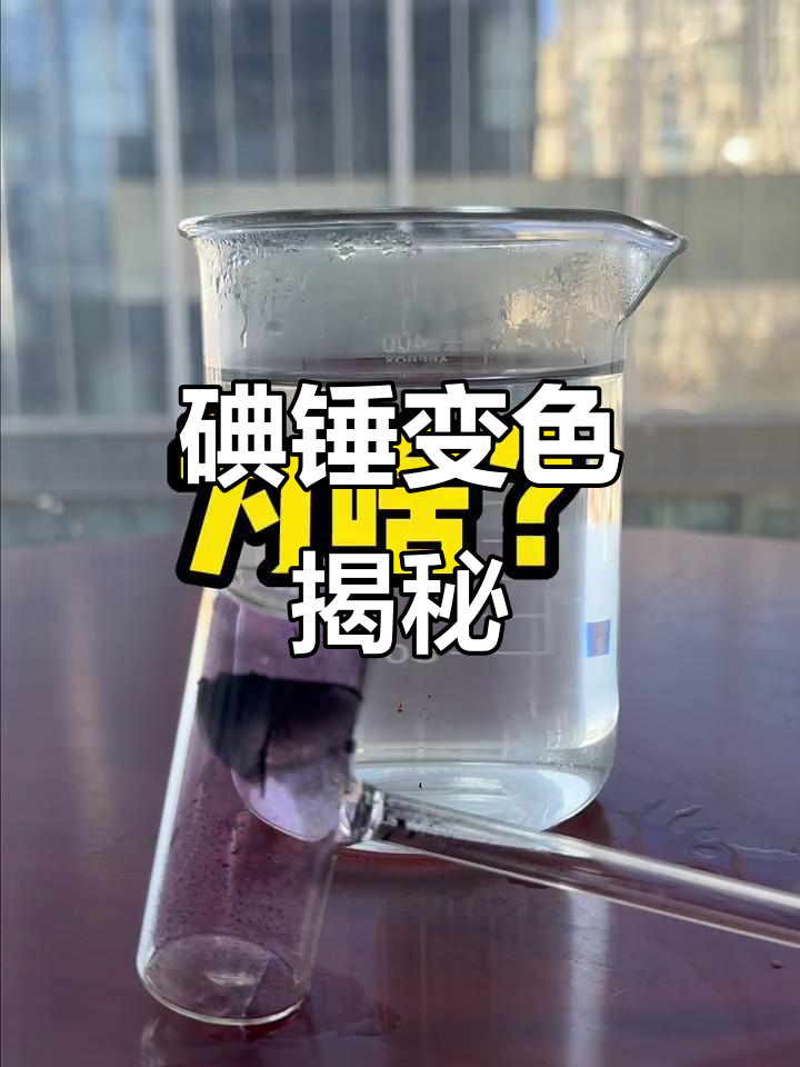开云官方-?碘xs?oi?(shez的iogo)